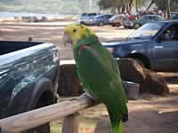 outrigger kauai 2008 264.jpg (607kb)